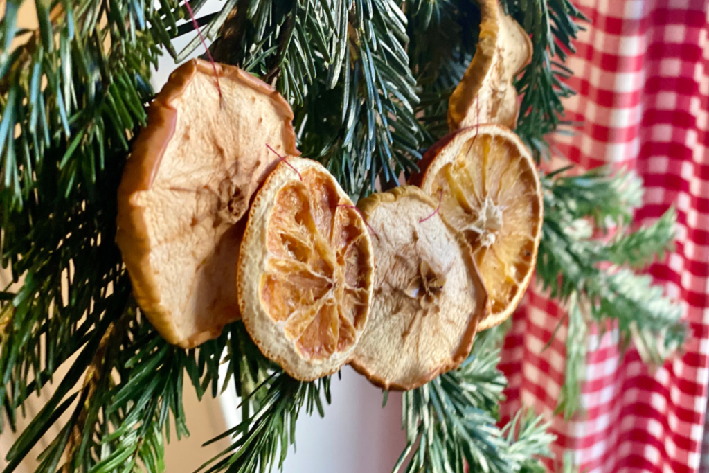 apple and orange slices as decor of fir branch