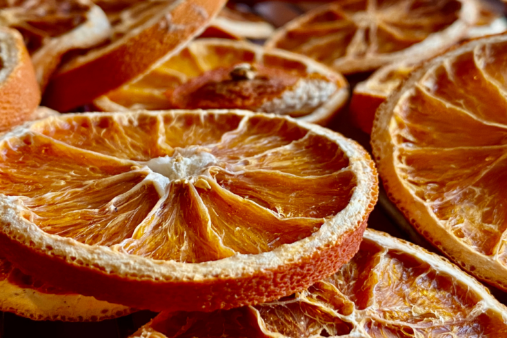 close up of oven dry orange slices