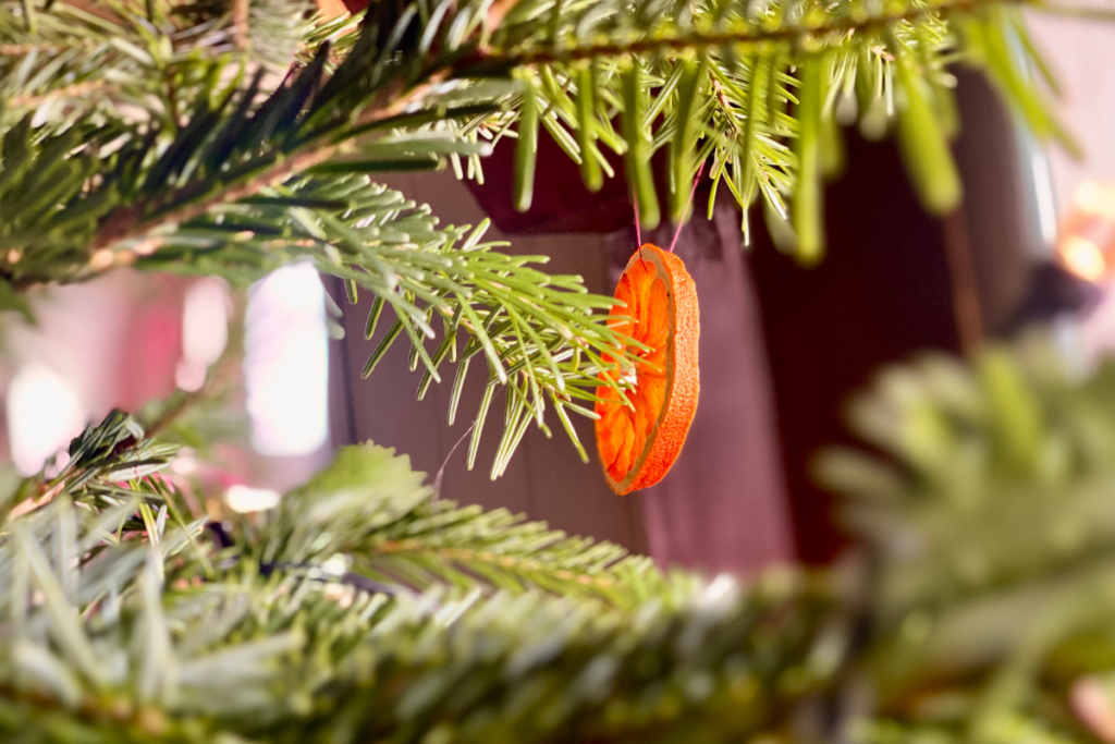 Christmas tree with dried orange slice