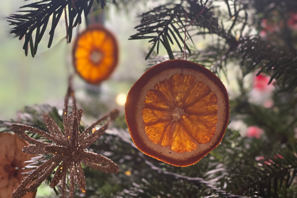 close up of oven dried orange slice on christmas tree