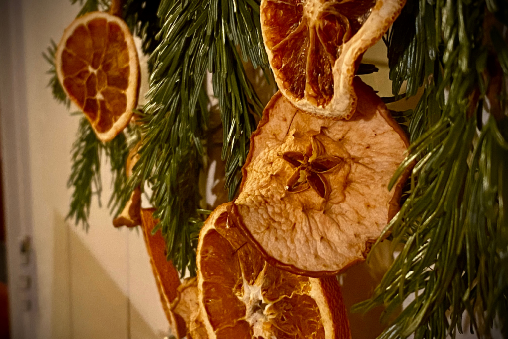 simple, natural christmas decoration, apple and orange slices hanging on pine tree branch